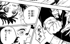 鬼滅の刃 炭治郎はなぜ鬼化できた その後の結末や強さをまとめてみた コミックワールド
